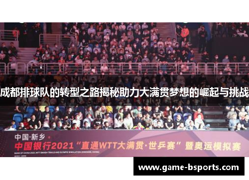 成都排球队的转型之路揭秘助力大满贯梦想的崛起与挑战